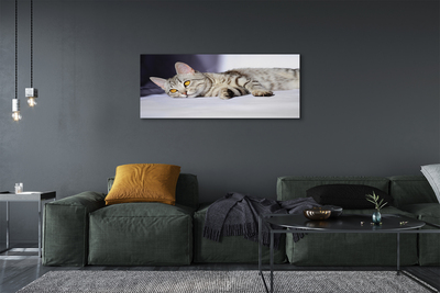 Zdjęcie na płótnie Kot w Relaksie