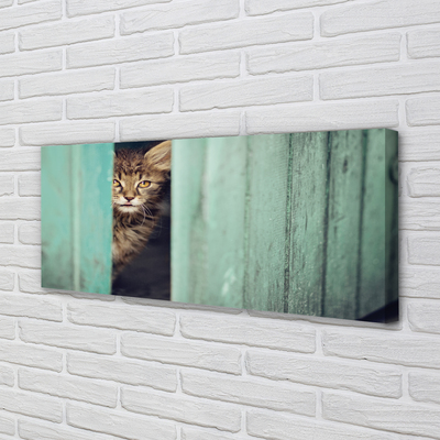 Zdjęcie na płótnie Ciekawski Kot Zaglądający