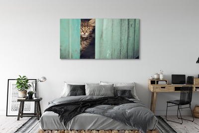 Zdjęcie na płótnie Ciekawski Kot Zaglądający