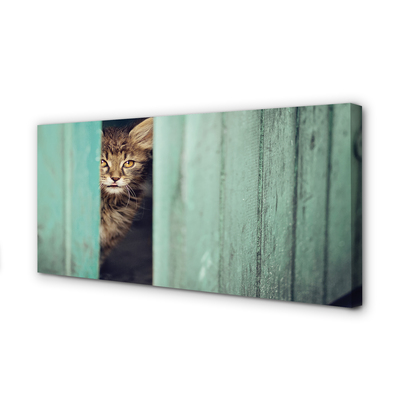 Zdjęcie na płótnie Ciekawski Kot Zaglądający