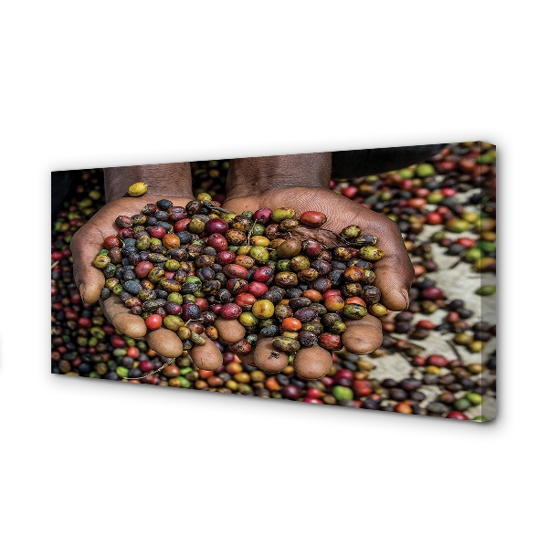 Zdjęcie na płótnie Przyprawy Świata