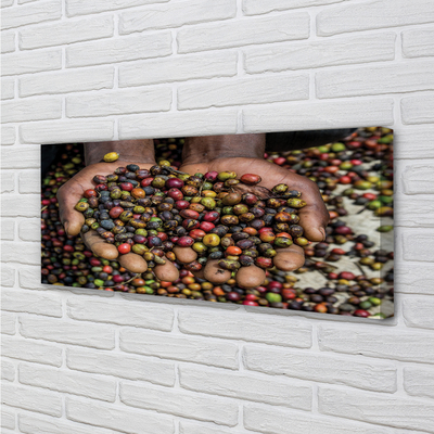 Zdjęcie na płótnie Przyprawy Świata