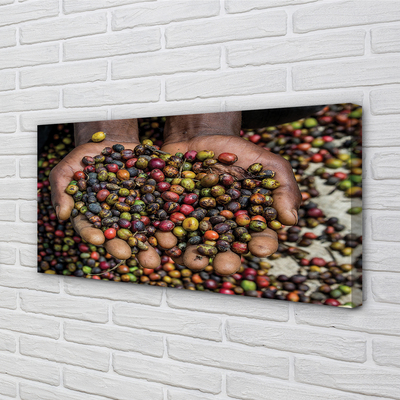 Zdjęcie na płótnie Przyprawy Świata