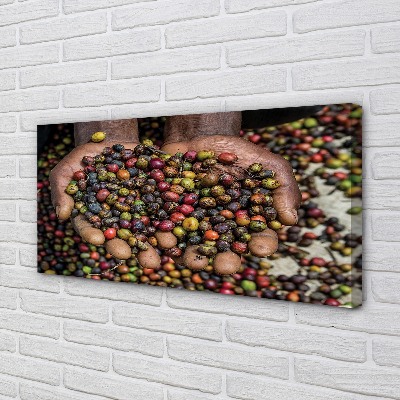 Zdjęcie na płótnie Przyprawy Świata