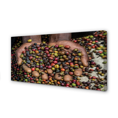 Zdjęcie na płótnie Przyprawy Świata