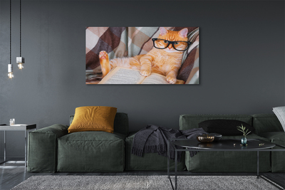 Zdjęcie na płótnie Kot 