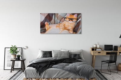 Zdjęcie na płótnie Kot 