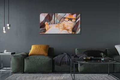 Zdjęcie na płótnie Kot 