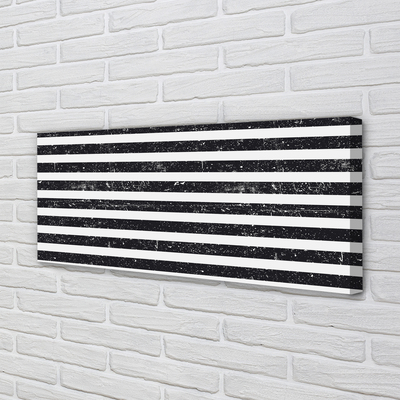 Obraz canvas na ścianę Motyw Zebry i Plam