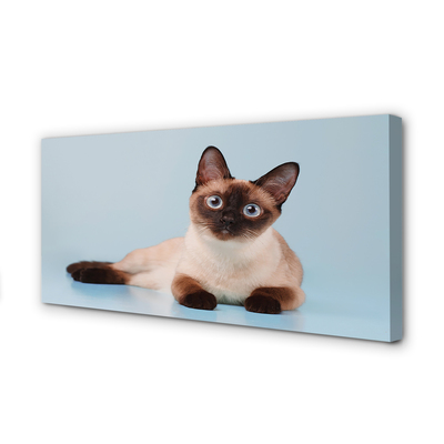 Zdjęcie na płótnie Odpoczywający Kot