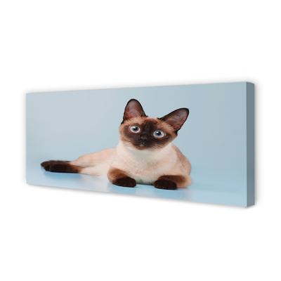 Zdjęcie na płótnie Odpoczywający Kot