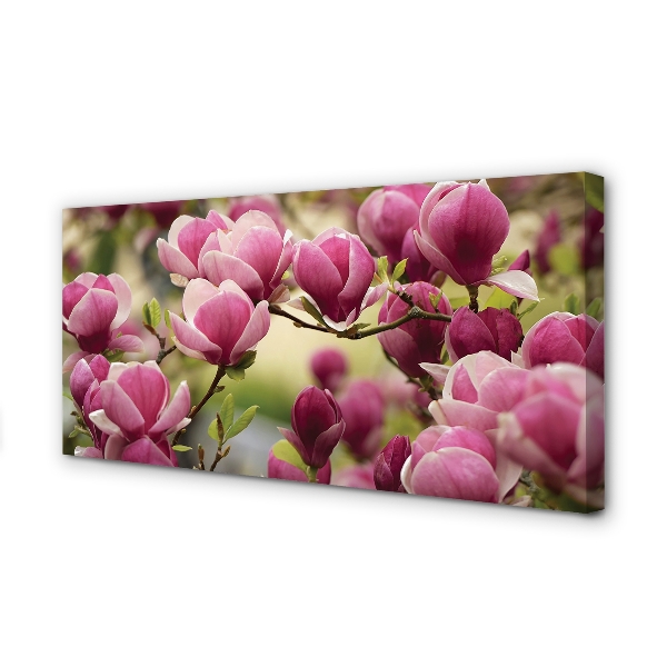 Zdjęcie na płótnie Kwitnące Drzewa