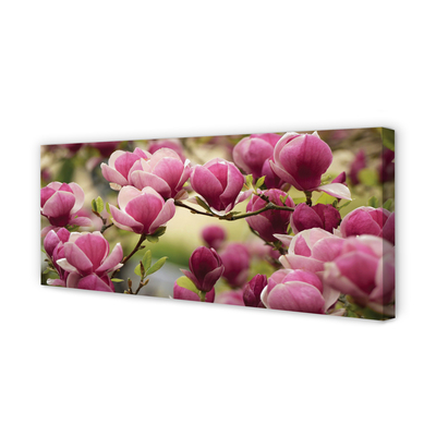 Zdjęcie na płótnie Kwitnące Drzewa