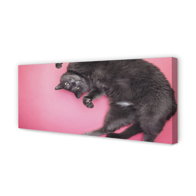 Zdjęcie na płótnie Leniwe Popołudnie Kota