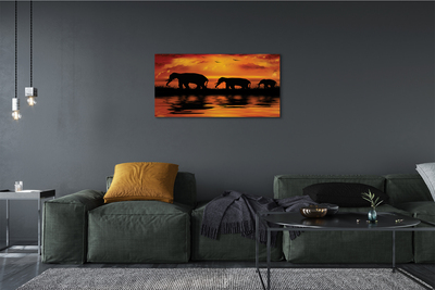 Zdjęcie na płótnie Słonie nad Jeziorem o Zachodzie