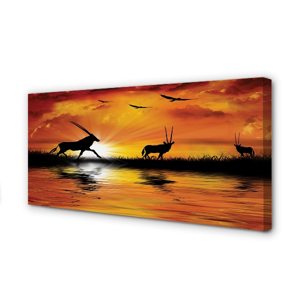 Zdjęcie na płótnie Ptaki nad Jeziorem o Zachodzie