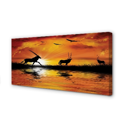 Zdjęcie na płótnie Ptaki nad Jeziorem o Zachodzie