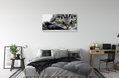 Obraz na płótnie Szaro-czarny kot