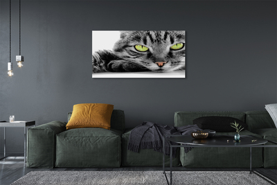 Obraz na płótnie Szaro-czarny kot