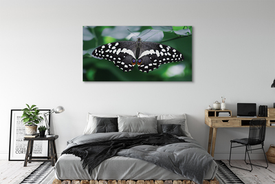 Obraz na płótnie Kolorowy motyl liście
