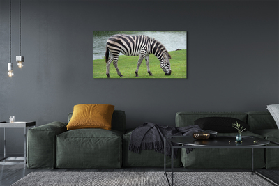 Obraz drukowany na płótnie Portret Zebry