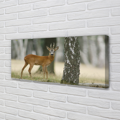 Zdjęcie na płótnie Jeleń w Leśnej Gęstwinie