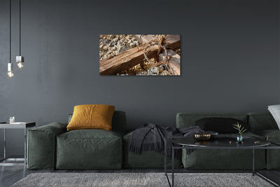 Zdjęcie na płótnie Krzyż, Kamienie i Ciernie