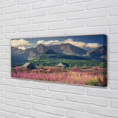 Obraz drukowany na płótnie Góry, Pola i Domki