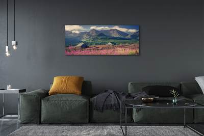 Obraz drukowany na płótnie Góry, Pola i Domki