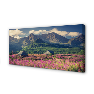 Obraz drukowany na płótnie Góry, Pola i Domki