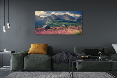 Obraz drukowany na płótnie Góry, Pola i Domki