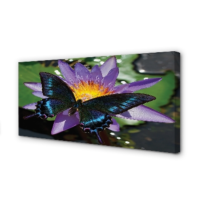 Obraz canvas na ścianę Kwiat z Motylem