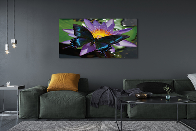 Obraz canvas na ścianę Kwiat z Motylem