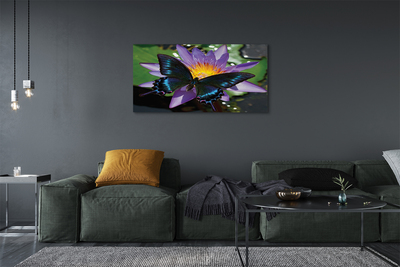 Obraz canvas na ścianę Kwiat z Motylem
