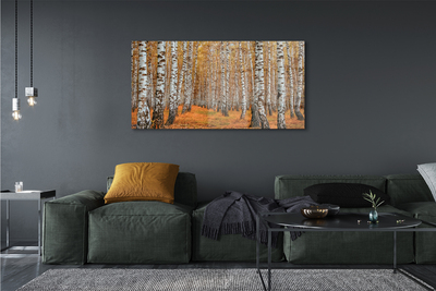 Obraz drukowany na płótnie Jesienne Drzewa