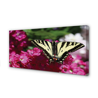 Obraz canvas na ścianę Kwiaty i Motyl