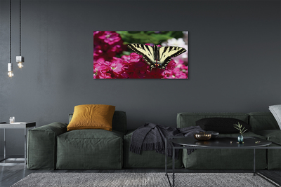 Obraz na płótnie Kwiaty motyl