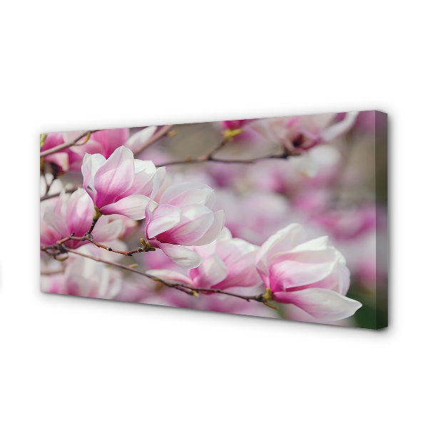 Zdjęcie na płótnie Kwitnące Drzewa