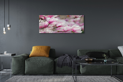 Zdjęcie na płótnie Kwitnące Drzewa