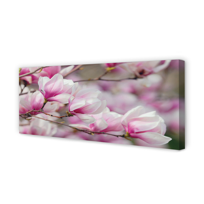 Zdjęcie na płótnie Kwitnące Drzewa