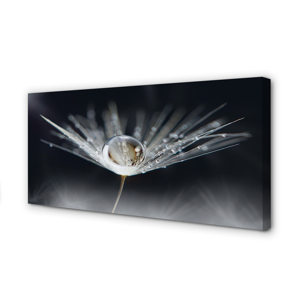 Obraz drukowany na płótnie Kryształowy Dmuchawiec w Makro