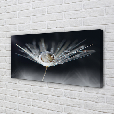 Obraz drukowany na płótnie Kryształowy Dmuchawiec w Makro