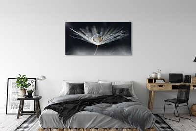 Obraz drukowany na płótnie Kryształowy Dmuchawiec w Makro