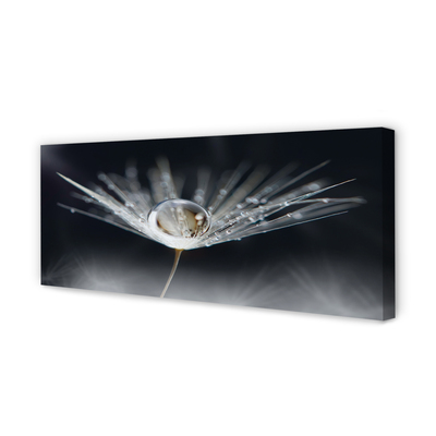 Obraz drukowany na płótnie Kryształowy Dmuchawiec w Makro