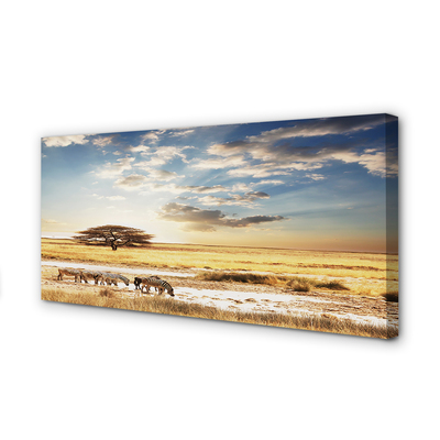 Zdjęcie na płótnie Zebry i Drzewo na Tle Chmur