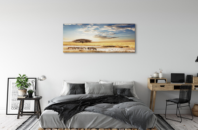 Zdjęcie na płótnie Zebry i Drzewo na Tle Chmur