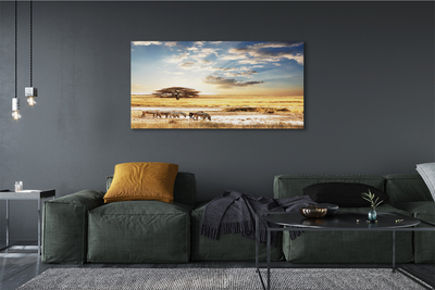 Zdjęcie na płótnie Zebry i Drzewo na Tle Chmur