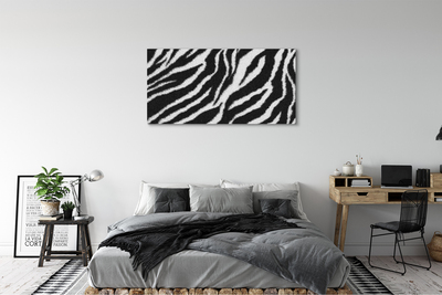 Obraz na płótnie Zebra sierść