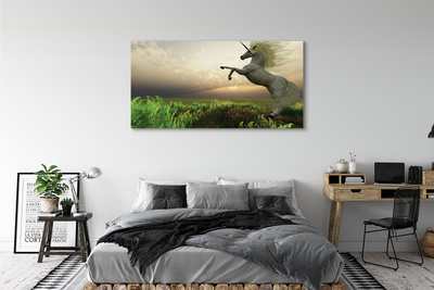 Obraz drukowany na płótnie Jednorożec na Polu