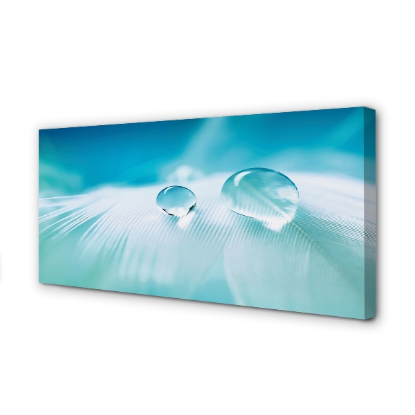 Obraz na płótnie Makrofotografia Kropli Wody